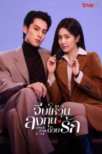 จีบให้วุ่น ลงทุนด้วยรัก Only for Love พากย์ไทย